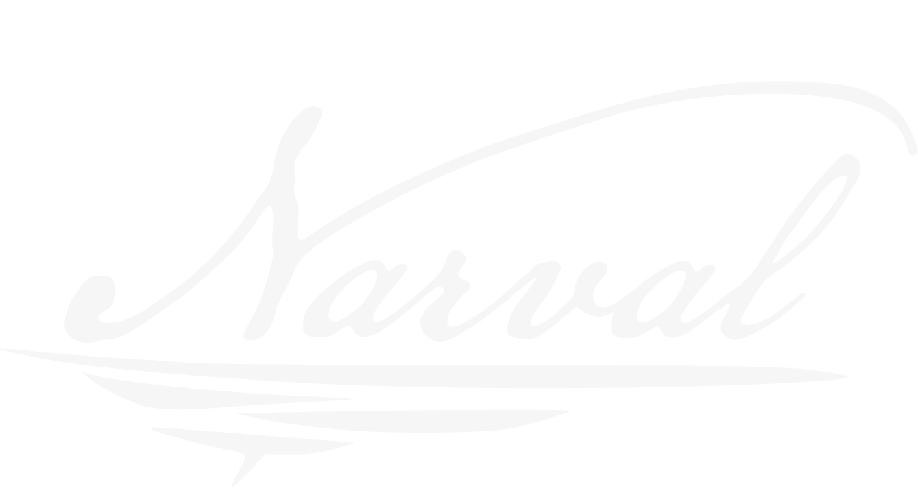 Logo Narval