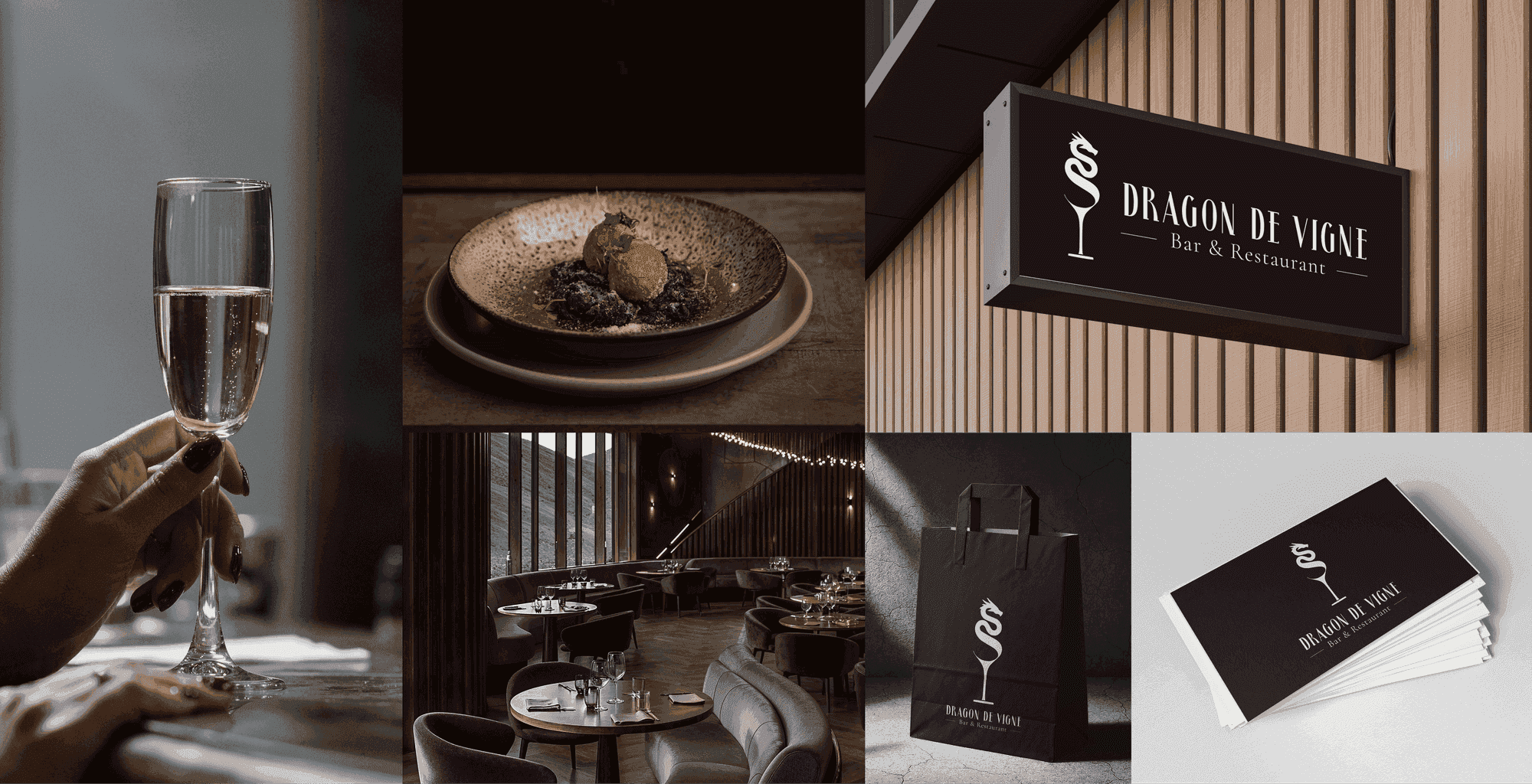 Identité visuelle - Dragon de vignes